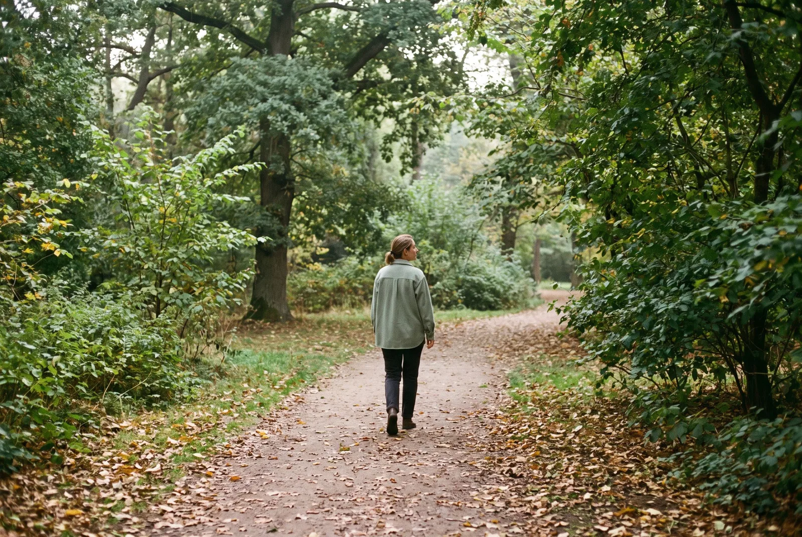 Illustration of a person walking along a quiet, leafy park path.